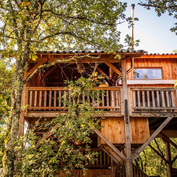 Vue panoramique sur la forêt